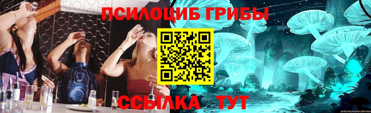 Псилоцибиновые грибы GOLDEN TEACHER  Вход с VPN  Рыбинск  Галлюциногенные грибы MAGIC MUSHROOMS 
